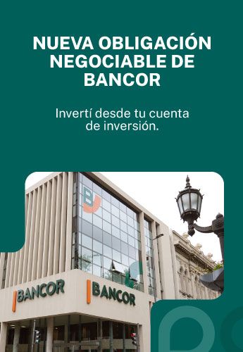 Obligaciones negociables 2026
