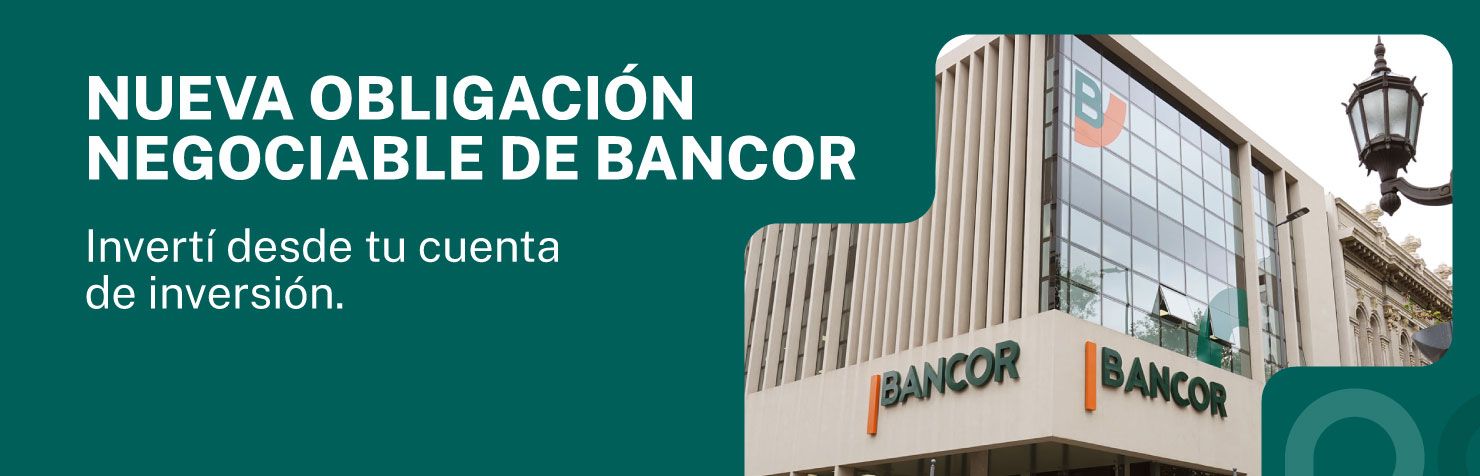 Obligaciones negociables 2026
