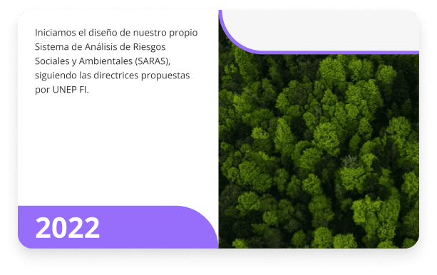 Card7