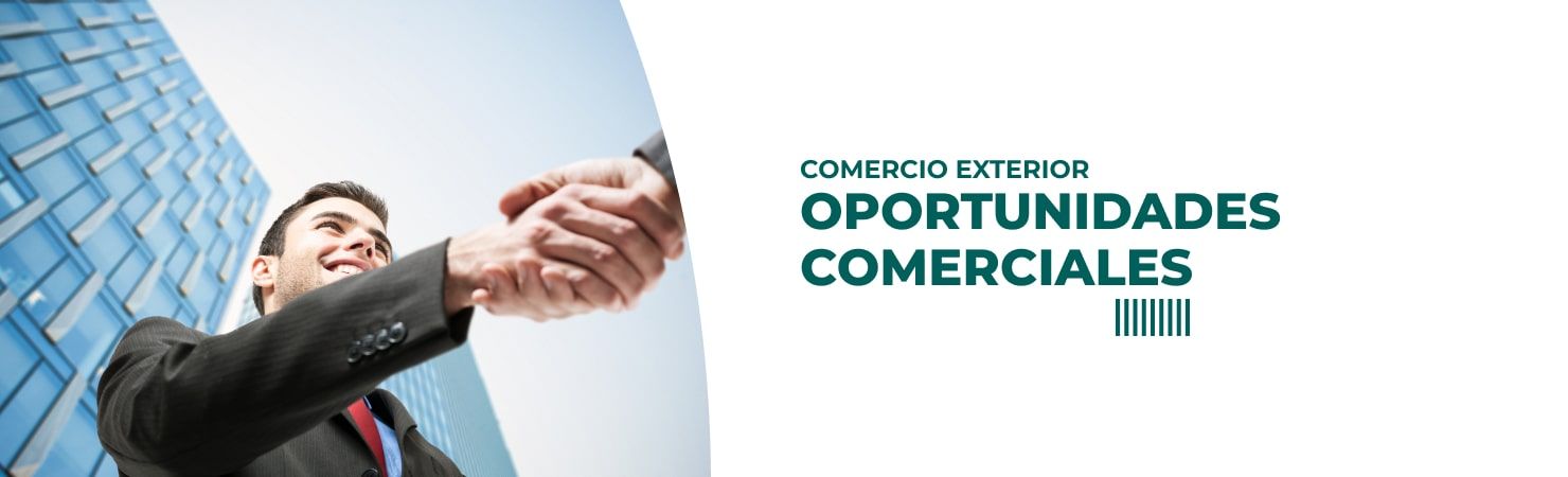 empresas - oportunidades