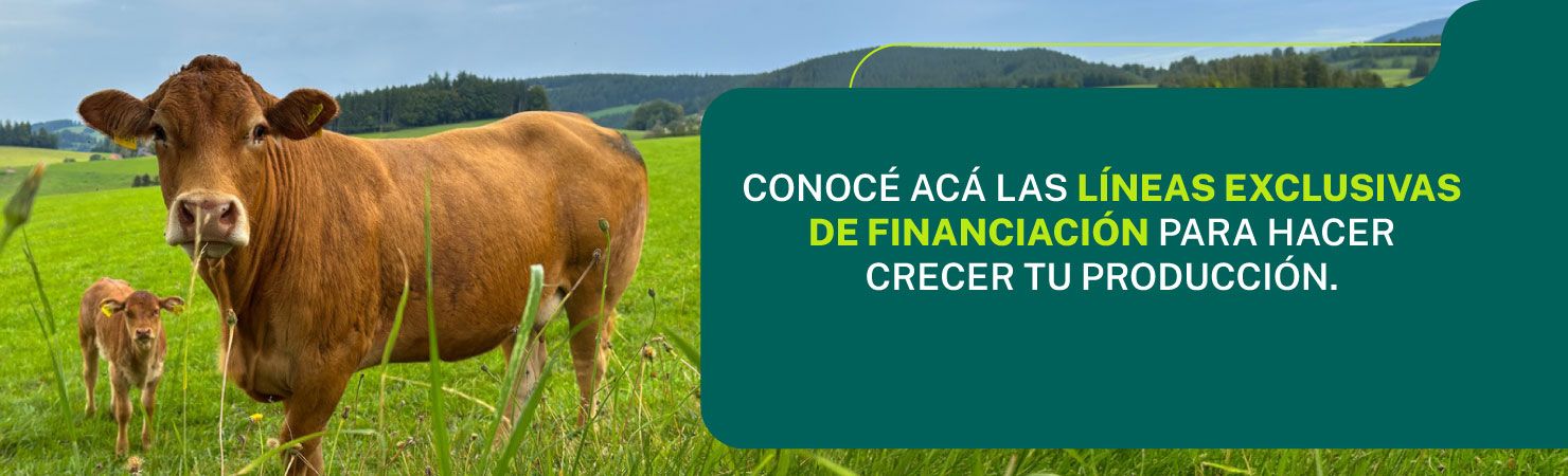 Slide financiación Agro agosto 2026 CON BTN