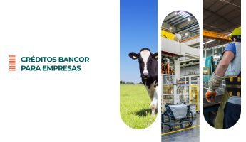 Financiacion sector cordobes