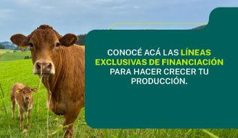 Slide financiación Agro agosto 2026 CON BTN