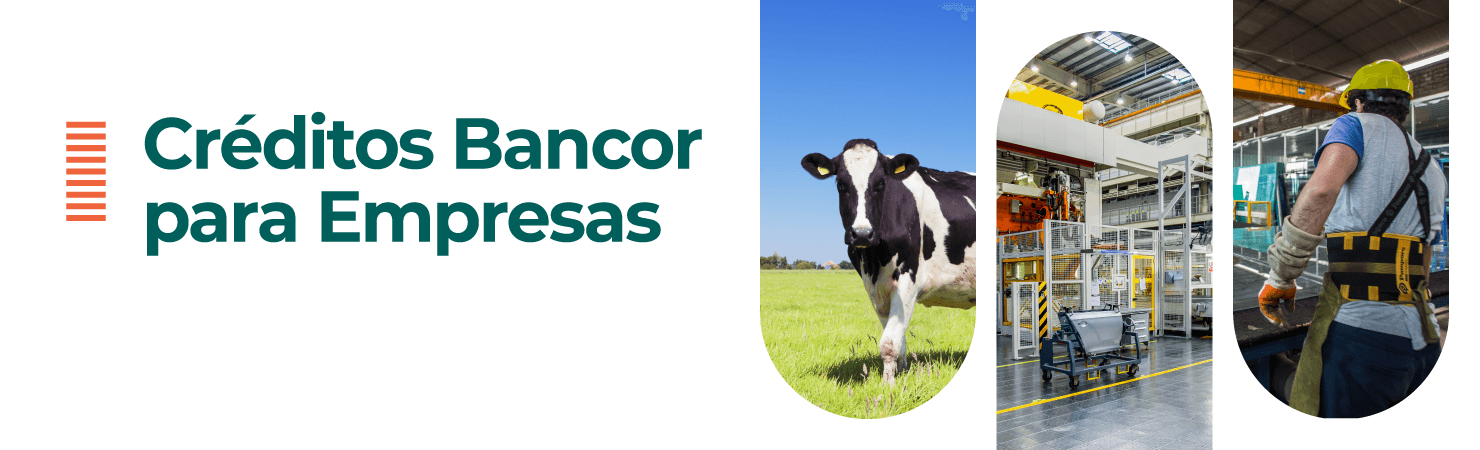 Financiacion sector cordobes