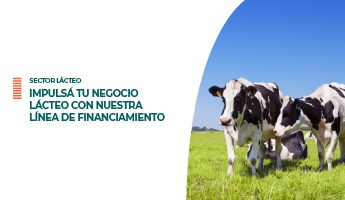 Sector Lácteo new
