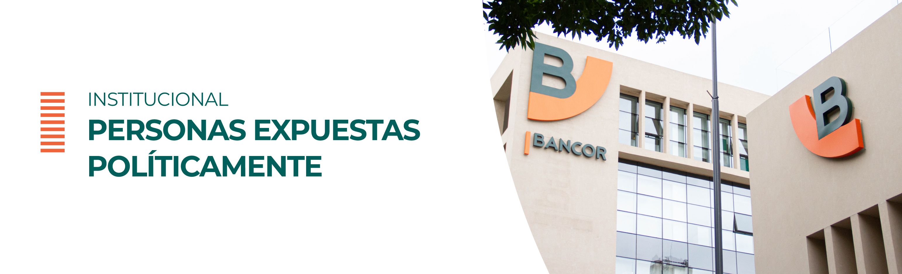 personas expuestas politicamente
