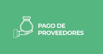 Pago a Proveedores