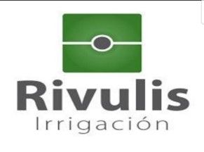 Rivulis