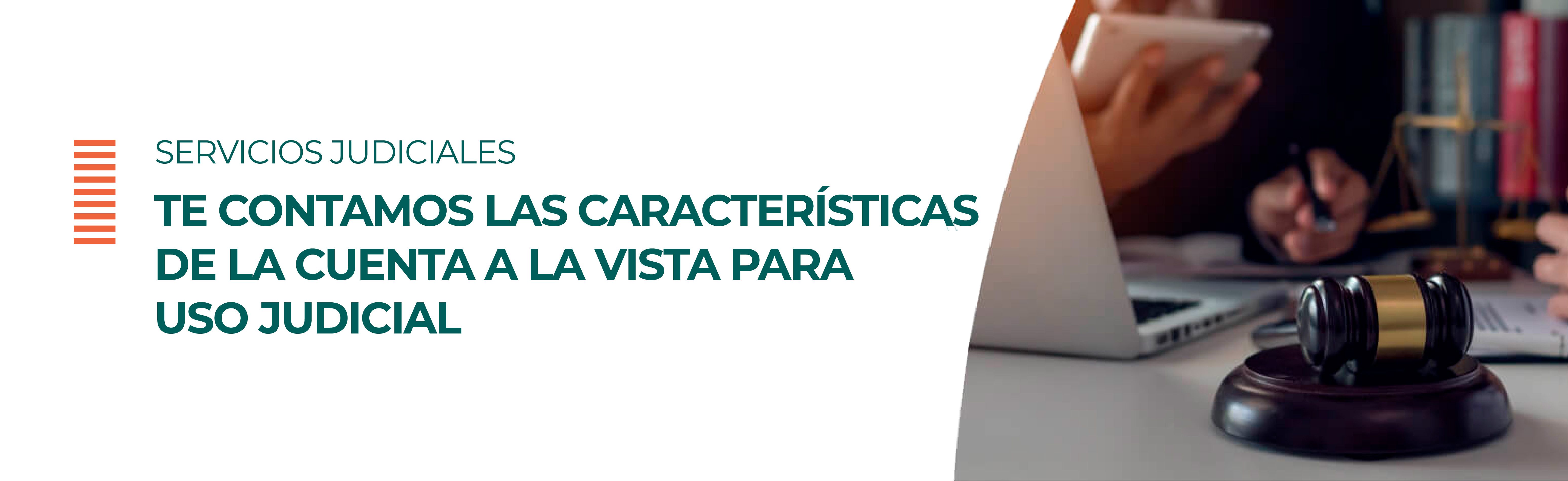 Servicios judiciales