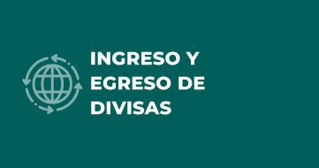  Ingreso y egreso de divisas