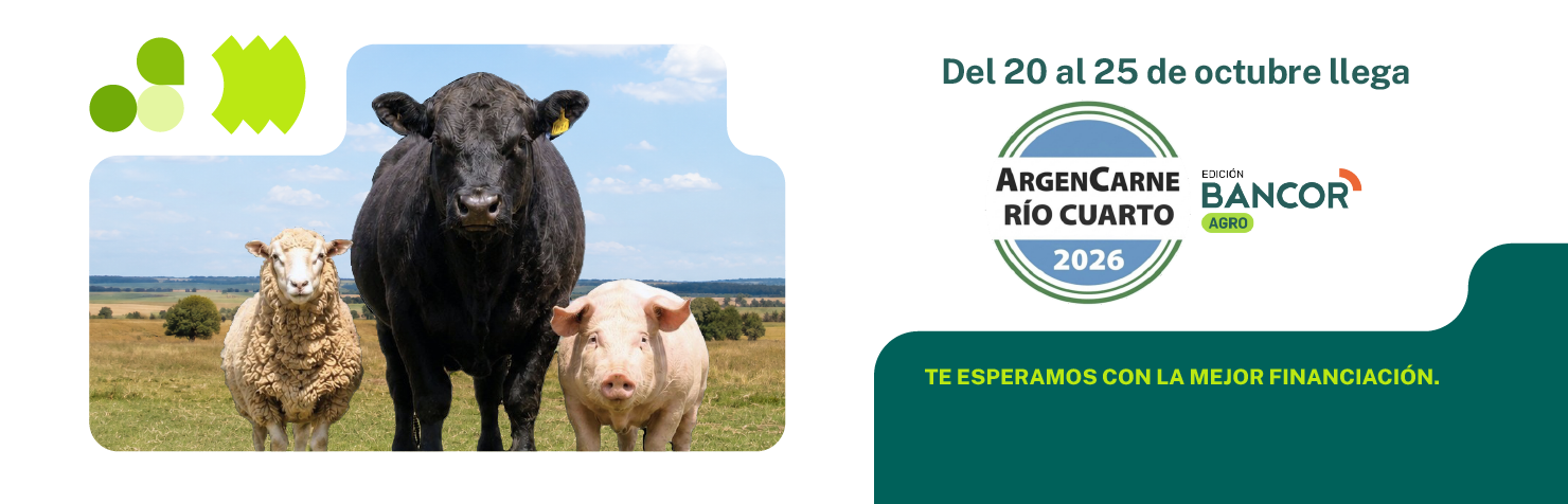 Banner-web-escritorio-Agro-ArgenCarne.webp