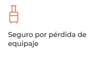 Seguro equipaje