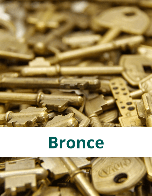 medio ambiente - bronce