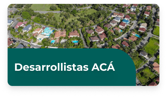 Desarrollistas