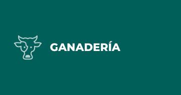 ganaderia.jpg