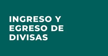 ingreso y egreso de divisas