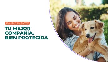 Seguro de mascotas