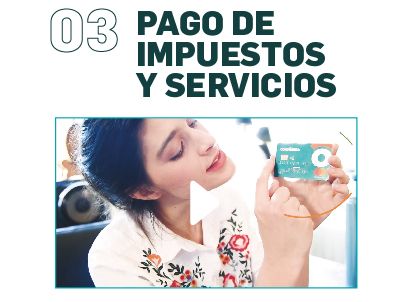 pago de impuestos y servicios