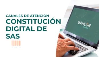 Constitución Digital de SAS