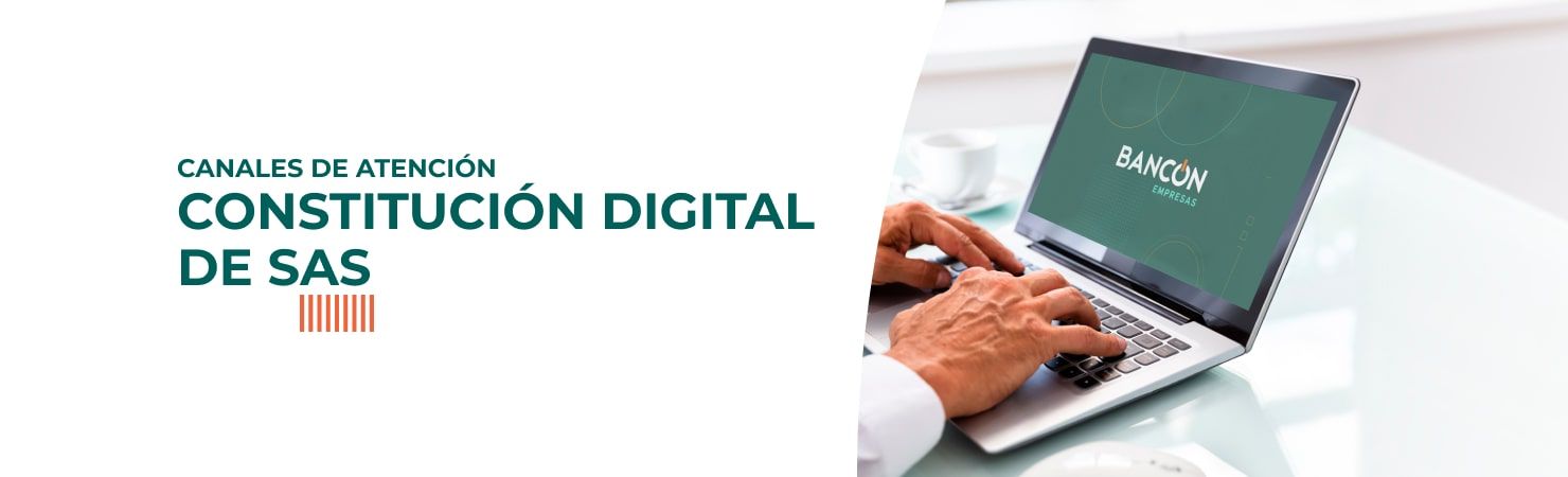 Constitución Digital de SAS