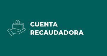 El servicio de Cuenta Recaudadora ofrece la posibilidad de acceder en línea a toda la información relacionada con tus cobranzas.