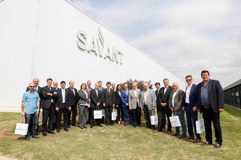 laboratorio savant